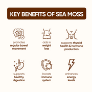 Sea Moss Gummies