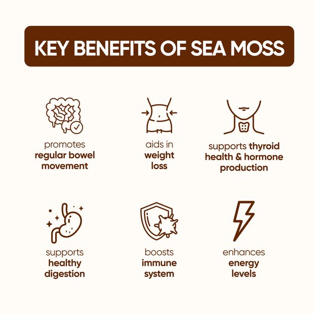 Sea Moss Gummies